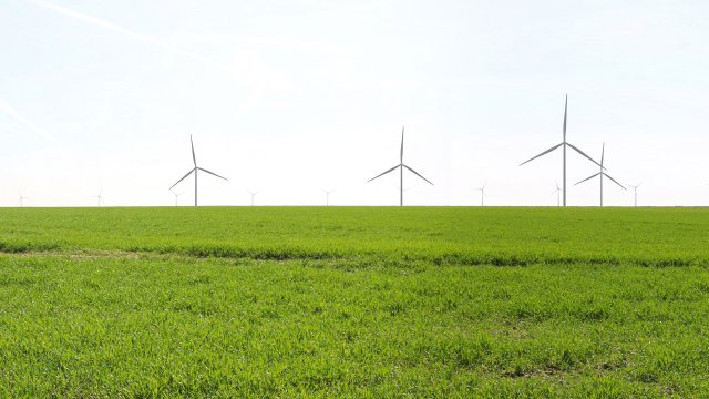 image de présentation