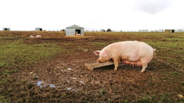 image de présentation