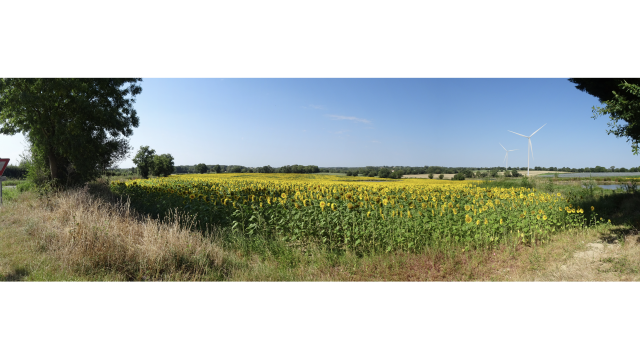 image de présentation