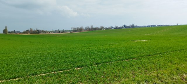 image de présentation