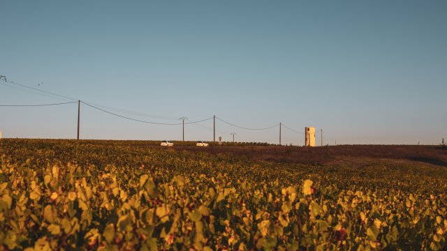 image de présentation