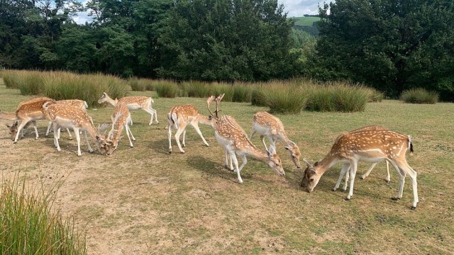 image de présentation