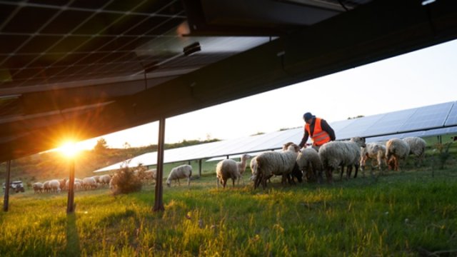 image de présentation