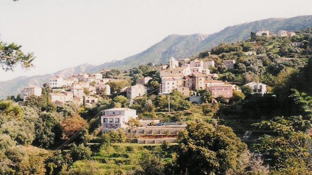 image de présentation