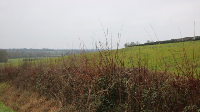 image de présentation