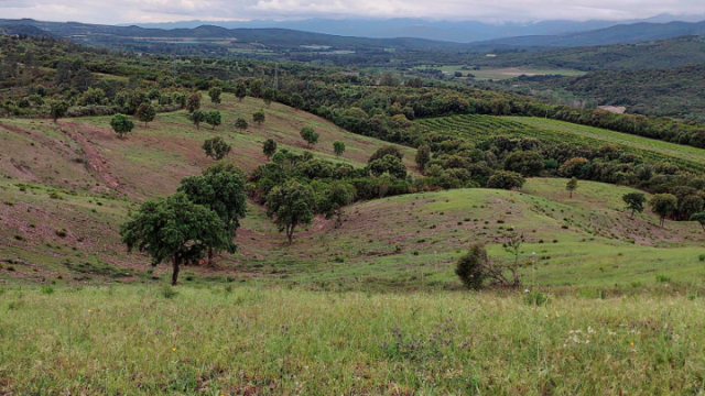 image de présentation