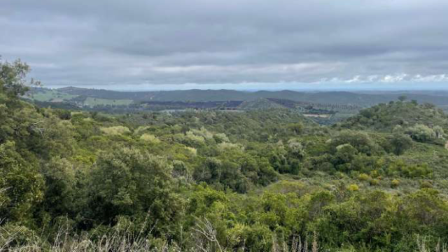 image de présentation