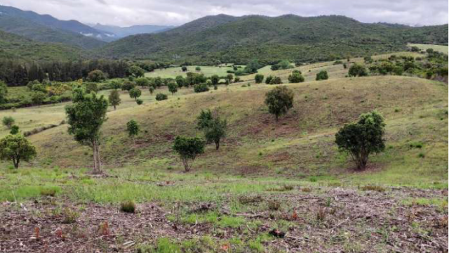 image de présentation