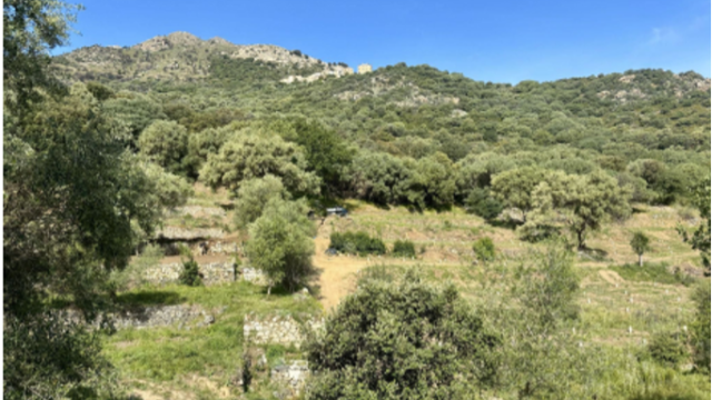 image de présentation