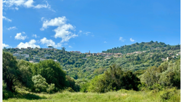 image de présentation