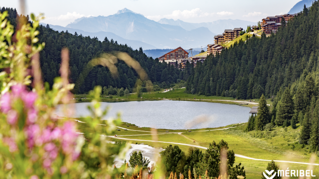 image de présentation