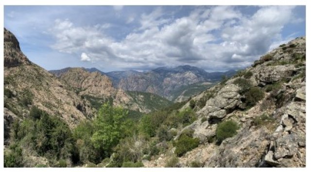 image de présentation