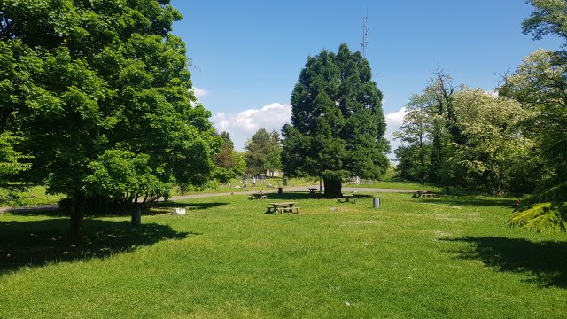 image de présentation