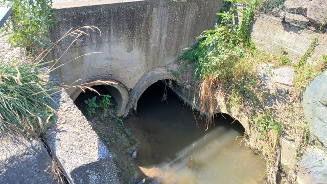 image de présentation