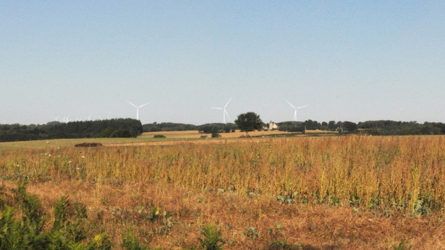 image de présentation