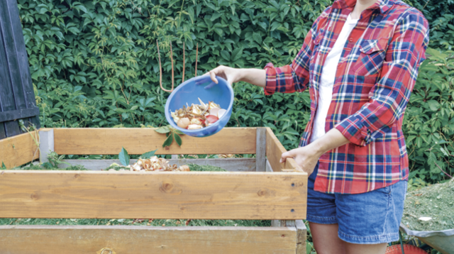 image de présentation