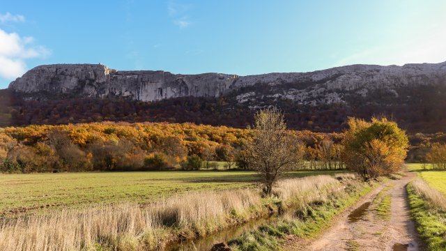 image de présentation