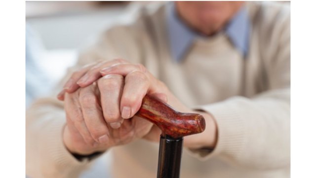 image de présentation