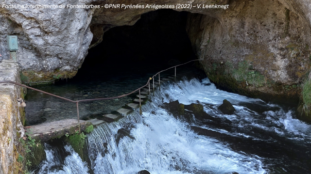 image de présentation