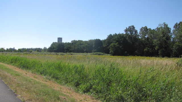 image de présentation