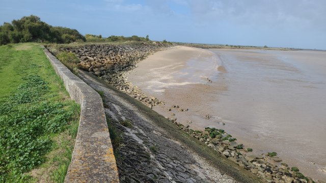 image de présentation