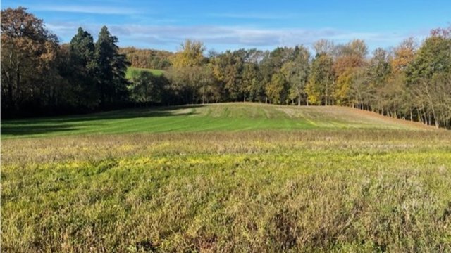 image de présentation