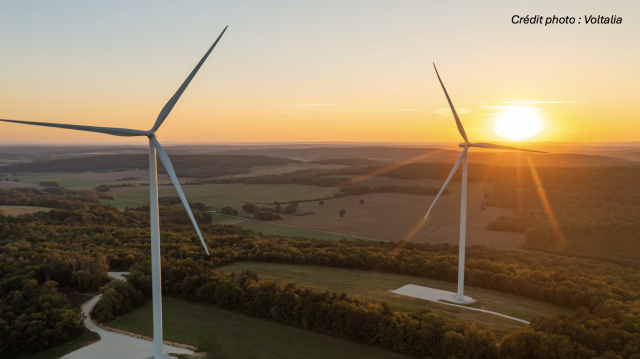 image de présentation