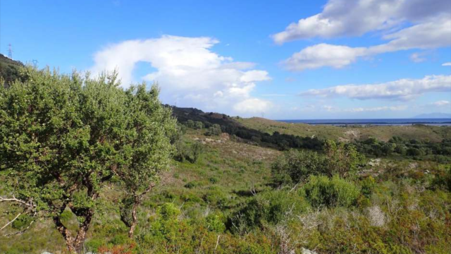 image de présentation