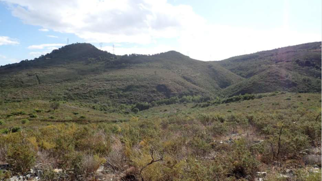 image de présentation