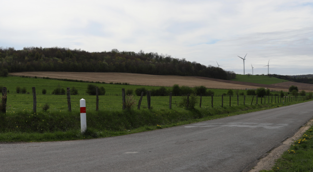 image de présentation