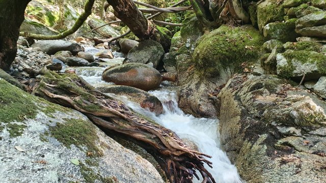 image de présentation