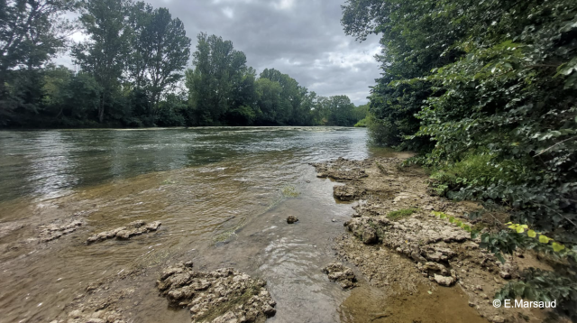 image de présentation