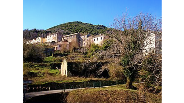image de présentation