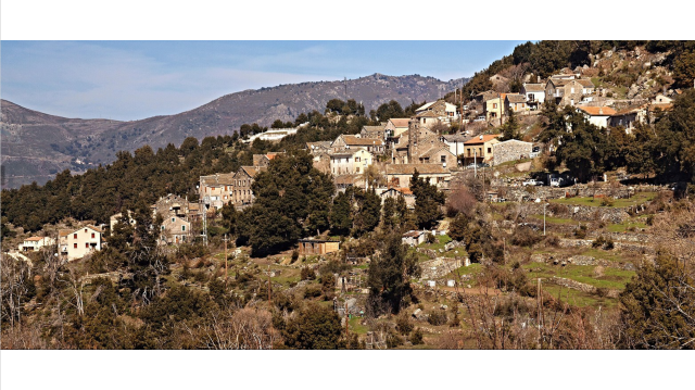 image de présentation