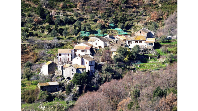 image de présentation