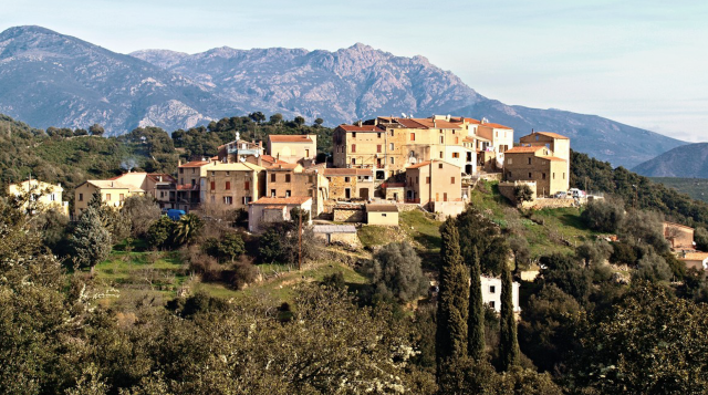 image de présentation