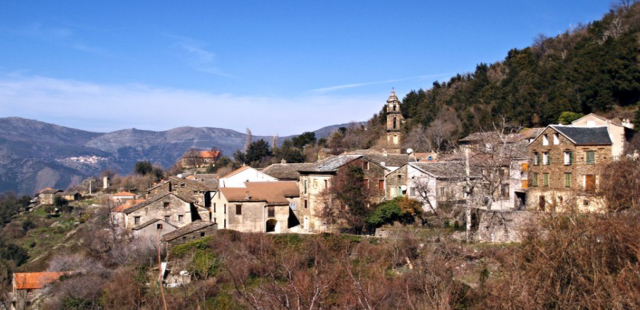 image de présentation